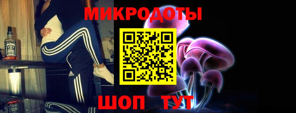 Дубна  Галлюциногенные грибы Cubensis  Вход с VPN 